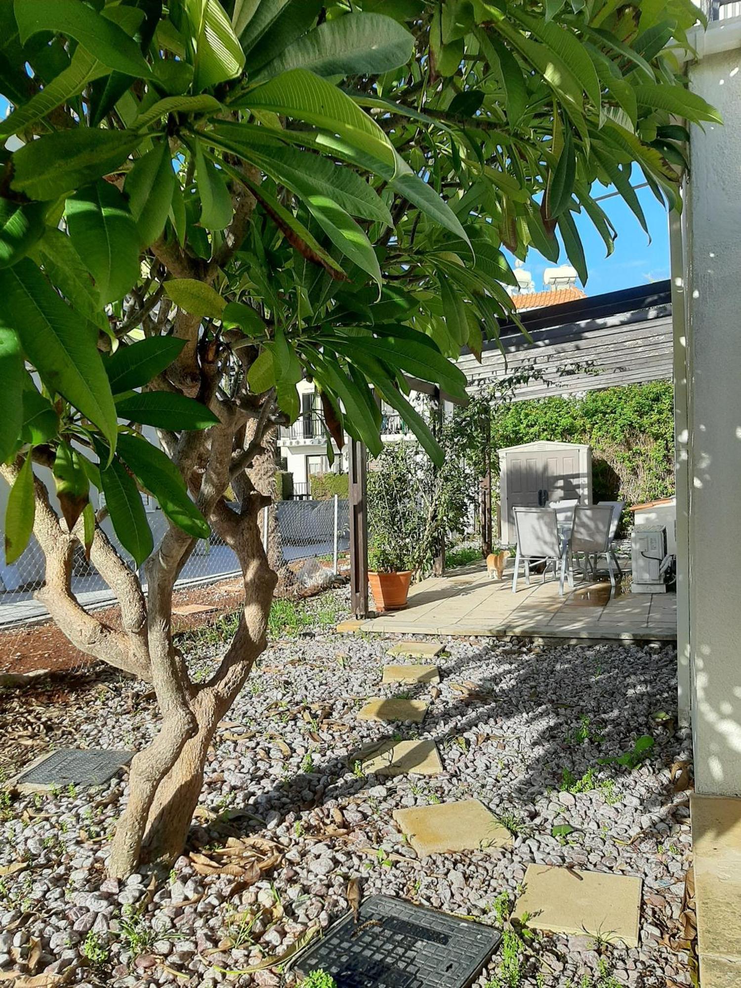Ferienwohnung H&O Royal Townhouse In Center Paphos Exterior foto